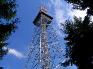 Tip na výlet: Dvacetiletá rozhledna Horní les. Při dobrém počasí z ní dohlédneme až na Praděd nebo do Krkonoš
