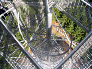 Tip na výlet: Dvacetiletá rozhledna Horní les. Při dobrém počasí z ní dohlédneme až na Praděd nebo do Krkonoš