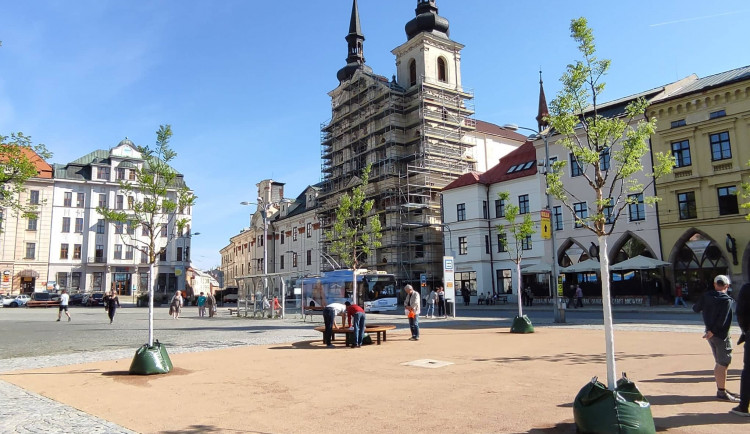 Centrum Jihlavy krášlí nový parčík s pěti stromy. V rámci revitalizace náměstí vzniknou ještě dva