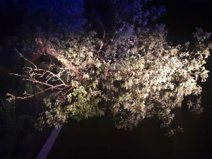 FOTO: Páteční bouřka na Vysočině lámala stromy a větve. Hasiči kvůli počasí vyjížděli třicetkrát