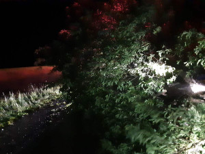 FOTO: Páteční bouřka na Vysočině lámala stromy a větve. Hasiči kvůli počasí vyjížděli třicetkrát