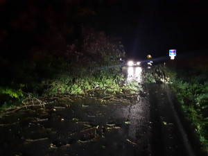 FOTO: Páteční bouřka na Vysočině lámala stromy a větve. Hasiči kvůli počasí vyjížděli třicetkrát