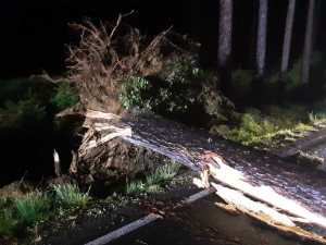 FOTO: Páteční bouřka na Vysočině lámala stromy a větve. Hasiči kvůli počasí vyjížděli třicetkrát