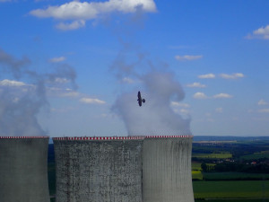 Sokolí pár vyseděl na stometrovém komínu v Dukovanech čtyřčata