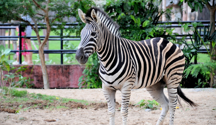 jeffrey-eisen-k1Z8oeroFsI-unsplash