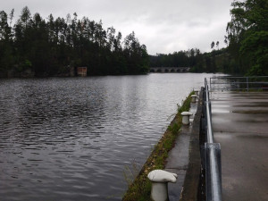 Molo vodní nádrže Sedlice