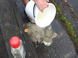 Vorek vody v nádrži Sedlice