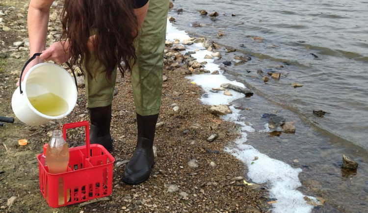 Vzorek vody z rybníku Kachlička