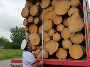 Kladař na Vysočině: Policie zjistila 51 přestupků, polští řidiči se vyhýbali kontrolnímu vážení
