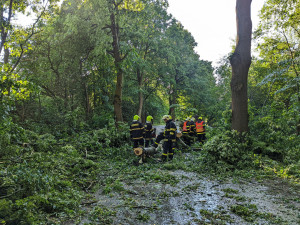 Vysočinou se přehnaly bouřky, hasiči kvůli nim odstraňují desítky stromů. Výpadky elektřiny postihly tisíce domácností