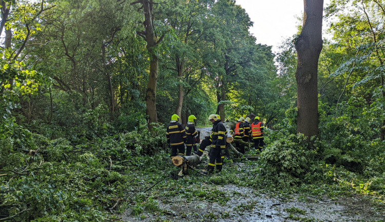Vysočinou se přehnaly bouřky, hasiči kvůli nim odstraňují desítky stromů. Výpadky elektřiny postihly tisíce domácností