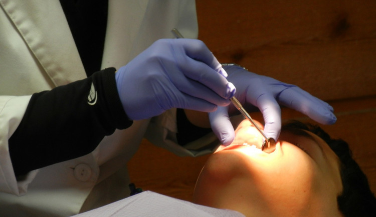 Vysočina projedná šest žádostí o stipendia pro budoucí zubaře. Jde o osmdesát tisíc za akademický rok