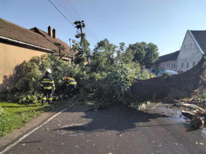 FOTO: Stromy na silnici, nárazový vítr, supercela. Hasiči na Vysočině mají za sebou náročnou službu