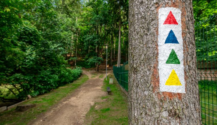 Červená, modrá, zelená a žlutá. Stromy na Heulose zdobí značky pro běžce, na výběr je více tras