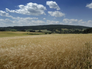 Tip na výlet: Z Melechova na Stvořidla. Romantiku dokreslí lokálka zvaná Posázavský pacifik