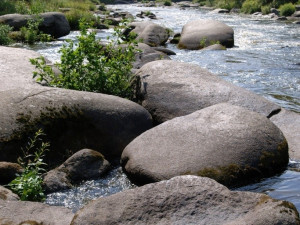 Tip na výlet: Z Melechova na Stvořidla. Romantiku dokreslí lokálka zvaná Posázavský pacifik