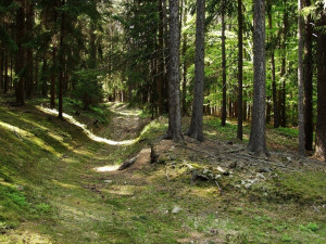 Tip na výlet: Z Melechova na Stvořidla. Romantiku dokreslí lokálka zvaná Posázavský pacifik
