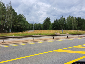 Safari v Jihlavě. Ze zoo utekly tři zebry, došly až na přivaděč