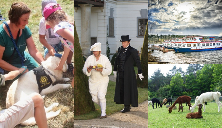 Kam o víkendu na jižní Moravě? Do skanzenu na den se psy i pohádkový zámek