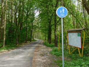 Tip na výlet: Lipová alej s dlouhou historií, která nabídne deset zastavení