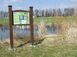 Tip na výlet: Lipová alej s dlouhou historií, která nabídne deset zastavení