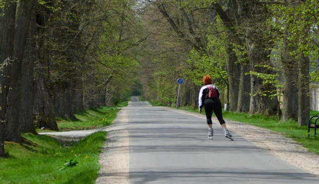 Lipová alej s dlouhou historií, která nabídne deset zastavení