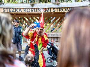 Stezka korunami stromů Lipno slaví první kulatiny. Oslavte je společně s ní i Monikou Absolonovou!