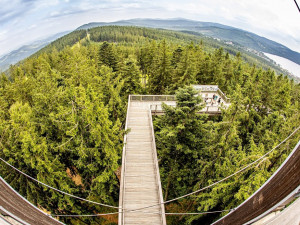 Stezka korunami stromů Lipno slaví první kulatiny. Oslavte je společně s ní i Monikou Absolonovou!