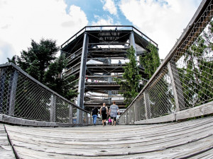 Stezka korunami stromů Lipno slaví první kulatiny. Oslavte je společně s ní i Monikou Absolonovou!