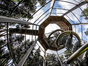 Stezka korunami stromů Lipno slaví první kulatiny. Oslavte je společně s ní i Monikou Absolonovou!