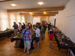 Přijďte si střihnout do Jupitera  