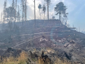Pomoc z Vysočiny: 17 hasičů v noci vyrazilo do Českého Švýcarska. Hasí poblíž Pravčické brány