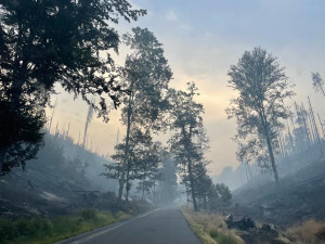 Pomoc z Vysočiny: 17 hasičů v noci vyrazilo do Českého Švýcarska. Hasí poblíž Pravčické brány