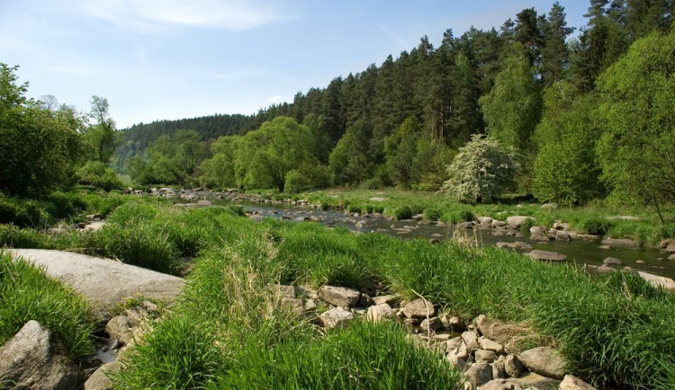 Foglarova Sluneční zátoka