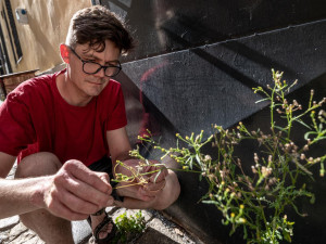 Včely jako umělkyně. V Malé Lazebnické ulici je k vidění výstava Úl v Ji-hlavě, nechybí ani včelí jukebox