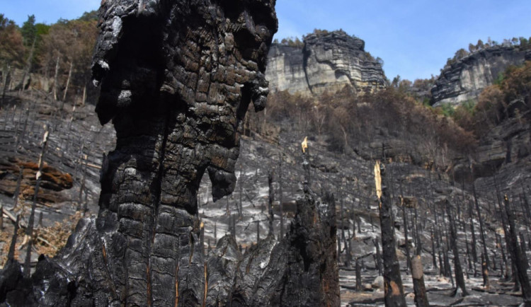 Zásah jednotek u požáru Národního parku České Švýcarsko.