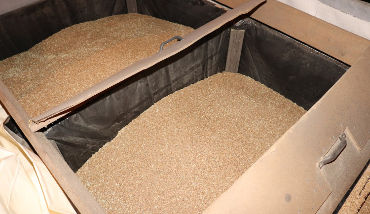 Povedená dvojice. Dva muži ve firmě na Jihlavsku postupně ukradli přes 50 tun pšenice a řepky 