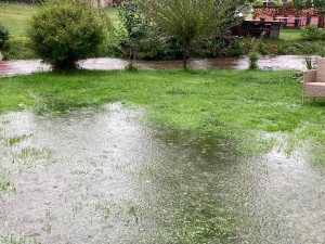 Zaplavená louka u domu Miroslava Poula v Pavlově na Pelhřimovsku