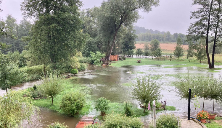 Zaplavená louka u domu Miroslava Poula v Pavlově na Pelhřimovsku