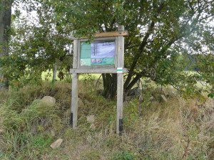 Tip na výlet: Osmdesát hektarů přírodního bohatství. Na Špičáku uvidíme vzácnou faunu i flóru