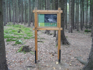 Tip na výlet: Osmdesát hektarů přírodního bohatství. Na Špičáku uvidíme vzácnou faunu i flóru