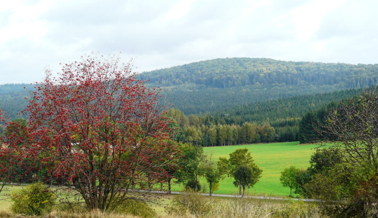 Naučná stezka Špičák