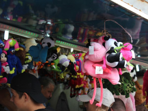 FOTO: V Polné zavoněly mrkvance. Podívejte se na jednu z největších poutí kraje z ptačí perspektivy