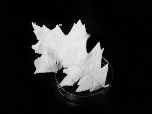 Vědci vytvořili skleněnou porézní plastelínu. Využití najde nejen v designu interiéru