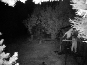 Někdo se vloupal do myslivecké chaty, policie hledá dva muže na fotkách. Nevíte, o koho jde?