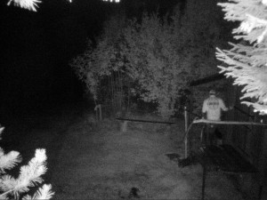 Někdo se vloupal do myslivecké chaty, policie hledá dva muže na fotkách. Nevíte, o koho jde?