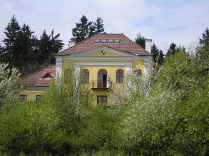Tip na výlet. Naučná stezka Chaloupky, lesní procházka pro vyznavače ekologie zabaví i malé děti