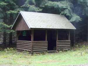 Tip na výlet. Naučná stezka Chaloupky, lesní procházka pro vyznavače ekologie zabaví i malé děti