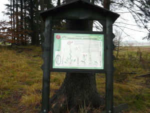 Tip na výlet. Naučná stezka Chaloupky, lesní procházka pro vyznavače ekologie zabaví i malé děti