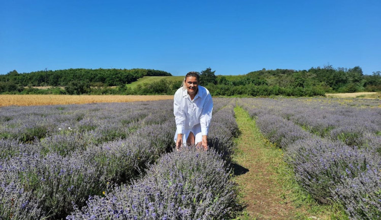 Helena Neumannová v Levandulovém údolí